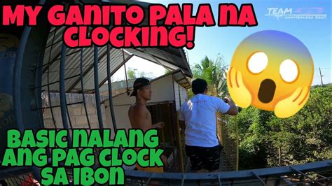pilipinas kalapati clocking|PWEDE PALA ITO SA CLOCKING NG KALAPATI GRABE ANG .